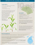 Infographic: Close Spacing LEPA